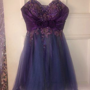 Cinderella Purple Puffy Y2K Dress
